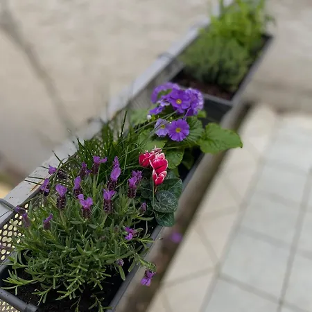 On Bergstrasse Zwingenberg (Hessen)