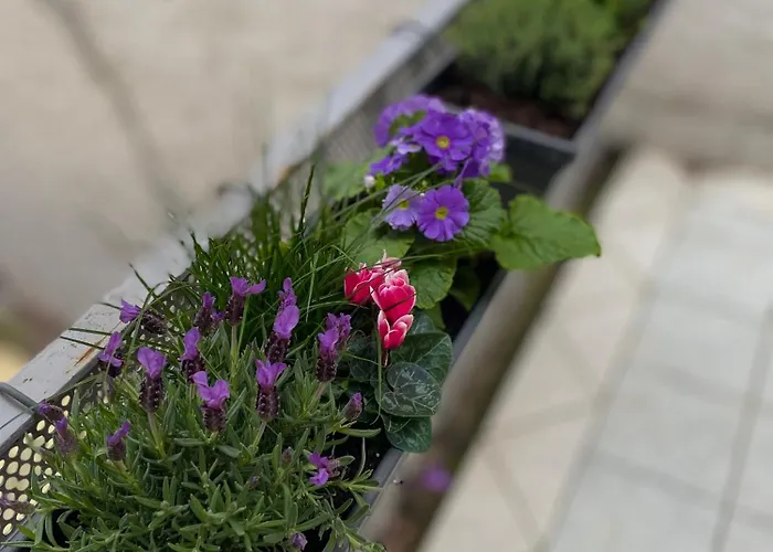 On Bergstrasse Zwingenberg (Hessen)