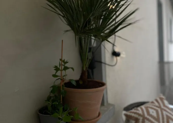 شقة On Bergstrasse